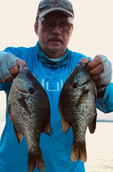 Shellcracker fishing in lake seminole