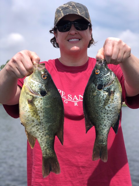 Shellcracker fishing in lake seminole
