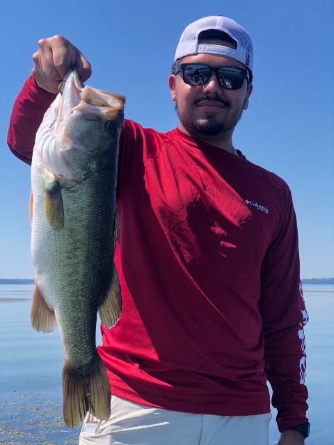 lake seminole bass fishing