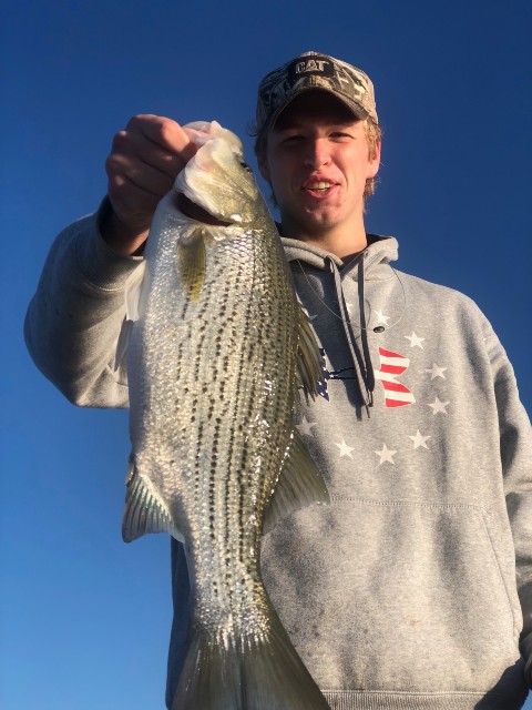 bass fishing in lake seminole