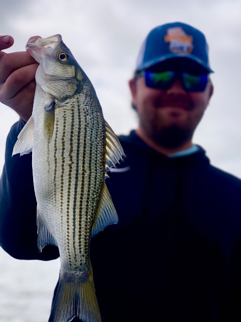 fishing in lake seminole