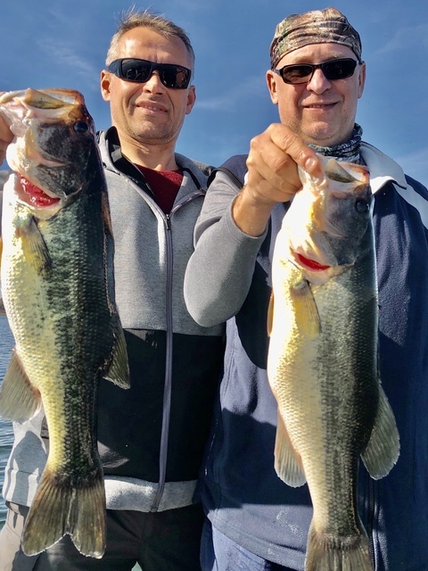 Bass Fishing in Lake Seminole