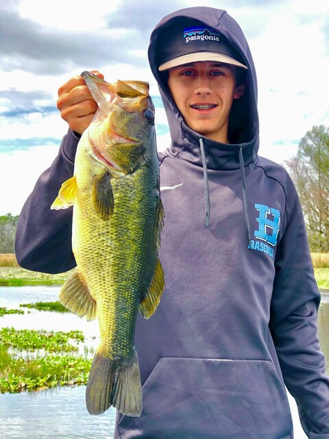 Bass Fishing in Lake Seminole