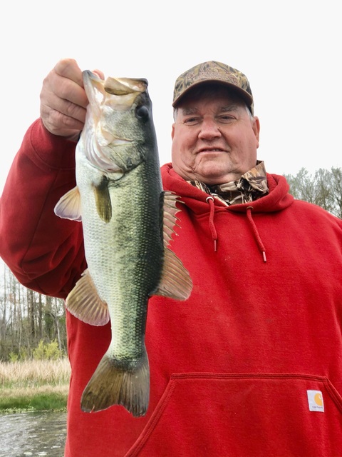 Bass Fishing in Lake Seminole