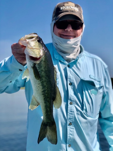 Bass Fishing in Lake Seminole