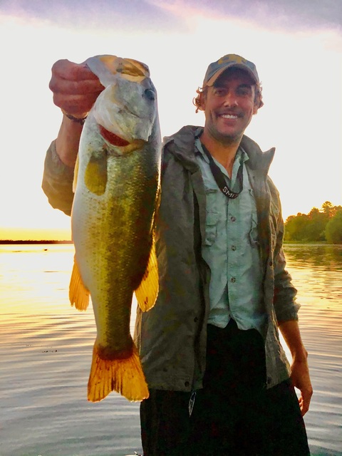 Bass Fishing in Lake Seminole