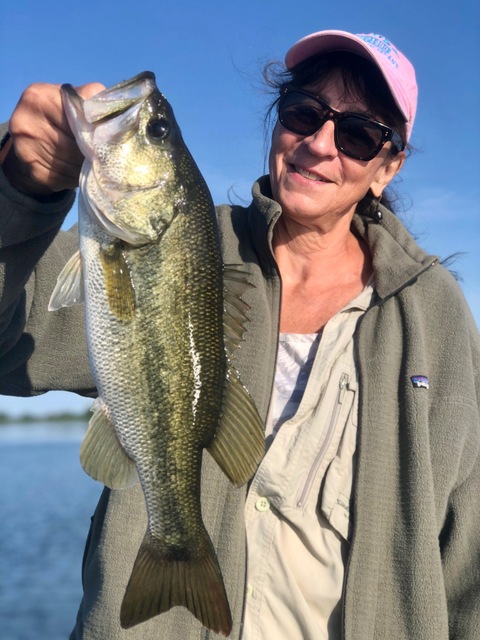 Bass Fishing in Lake Seminole