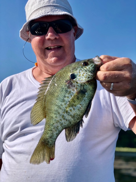 Shellcracker Fishing in Lake Seminole