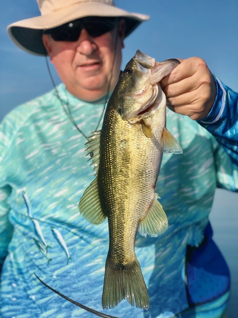 Bass Fishing in Lake Seminole