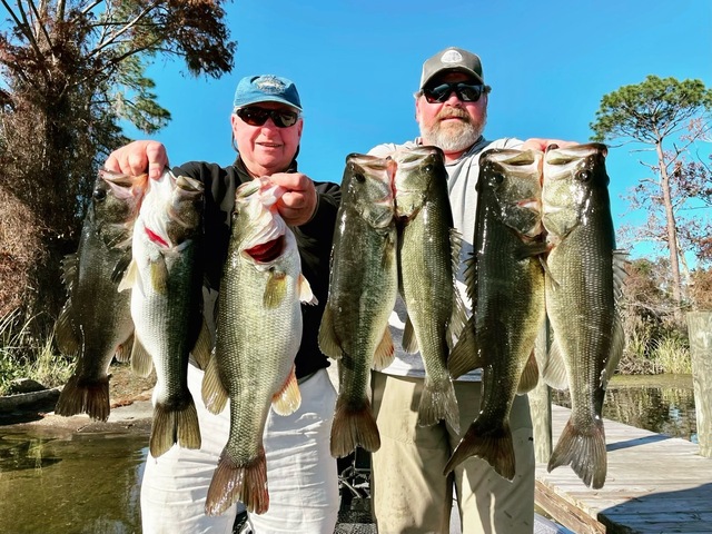 Bass Fishing in Lake Seminole