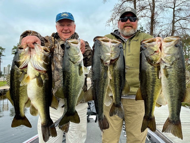 Bass Fishing in Lake Seminole