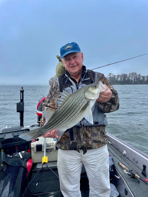 Bass Fishing in Lake Seminole