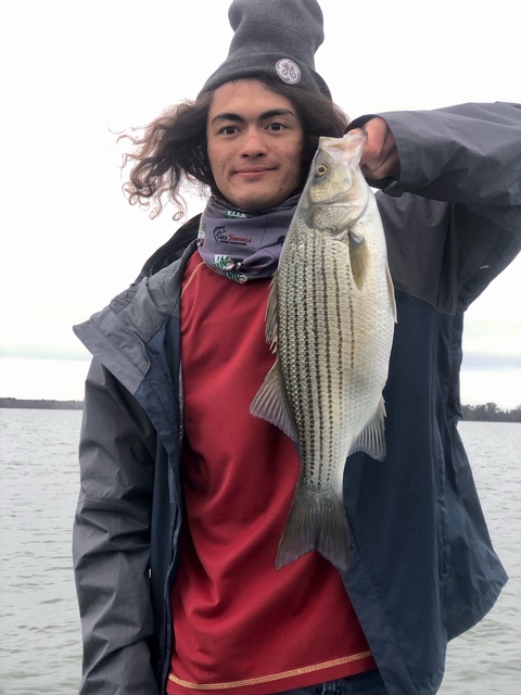 Crappie fishing in Lake Seminole