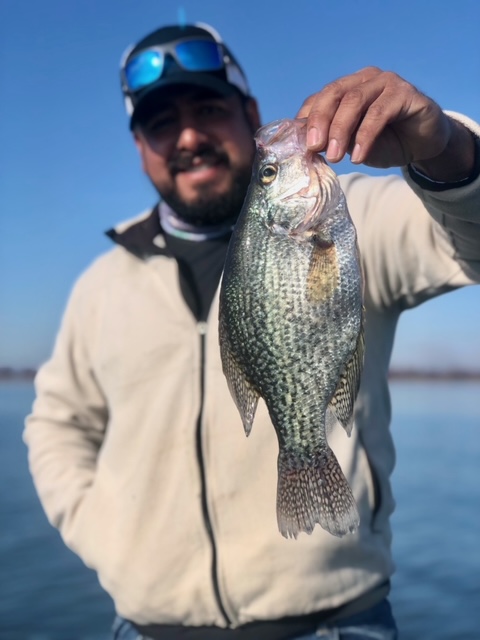 Bass Fishing in Lake Seminole