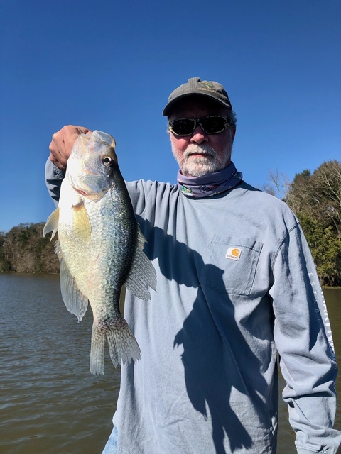 Crappie Fishing in Lake Seminole