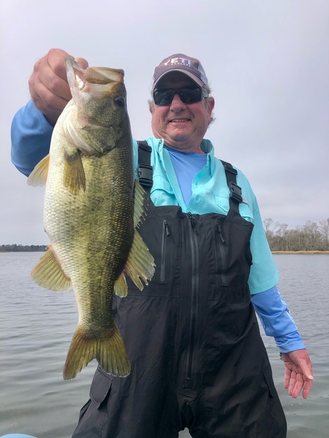 Lake Seminole Bass fishing