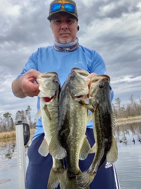 Lake Seminole fishing