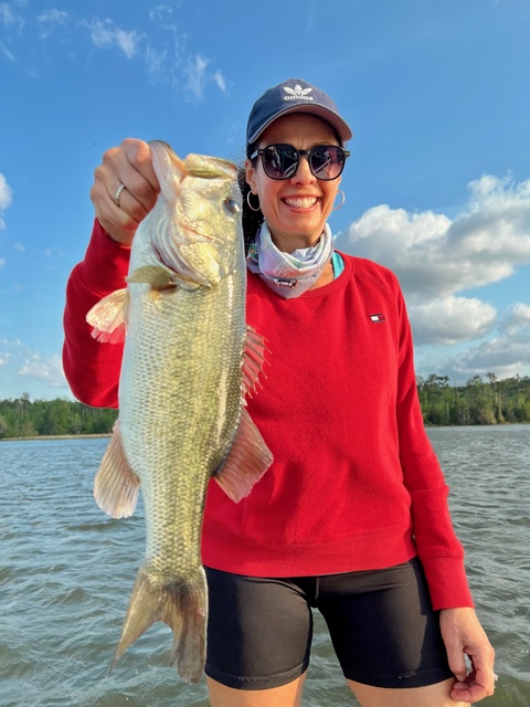 Bass Fishing in Lake Seminole