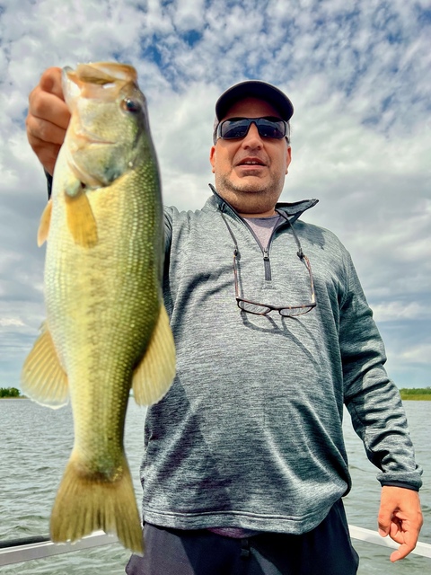 Bass Fishing in Lake Seminole