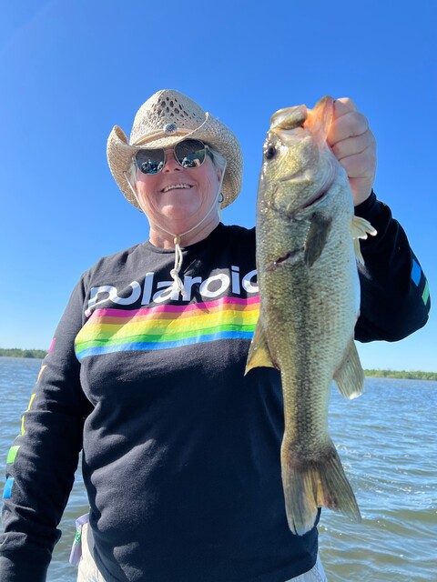 Lake Seminole fishing