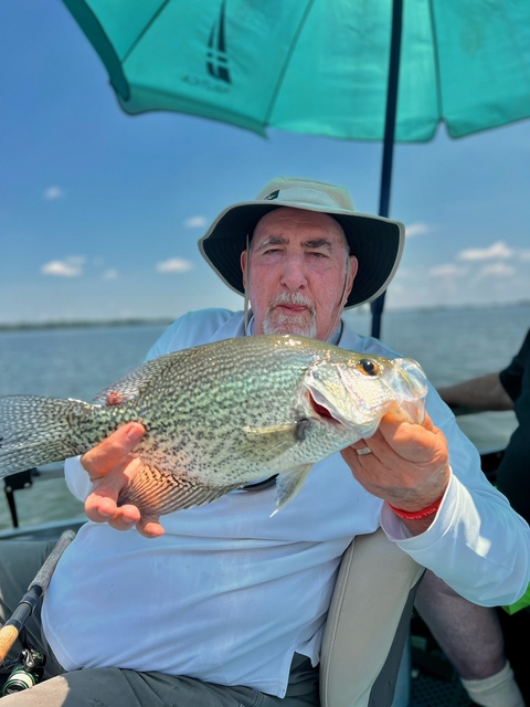 Crappie Fishing in Lake Seminole