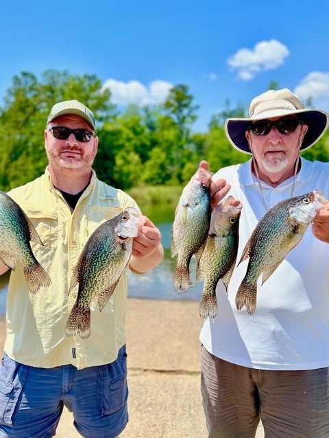 Crappie Fishing in Lake Seminole