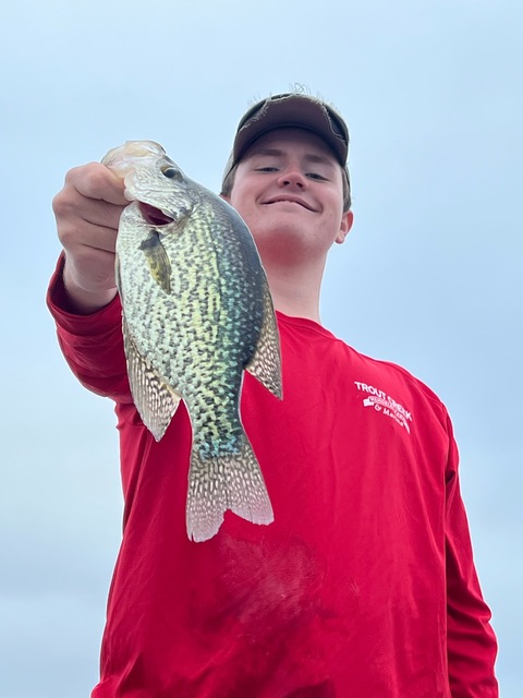 Crappie Fishing in Lake Seminole