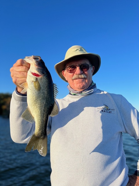 Lake Seminole Bass Fishing