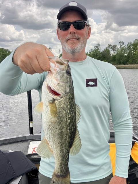 Lake Seminole Bass fishing