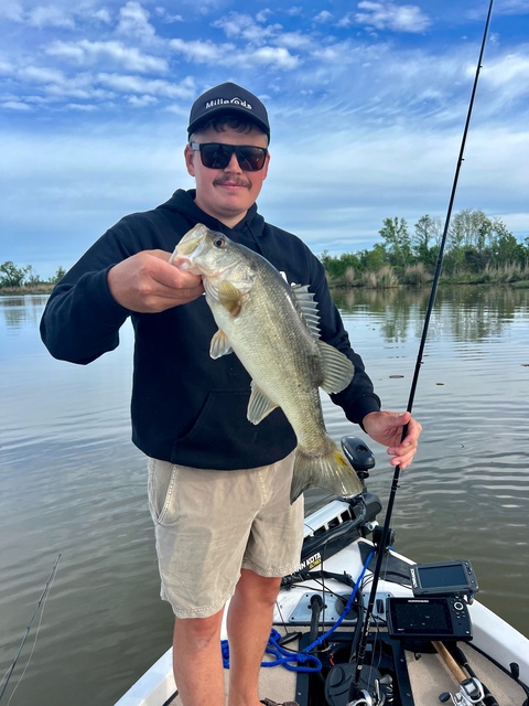 Lake Seminole Bass fishing