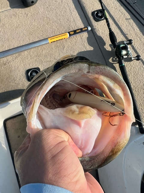 Lake Seminole fishing