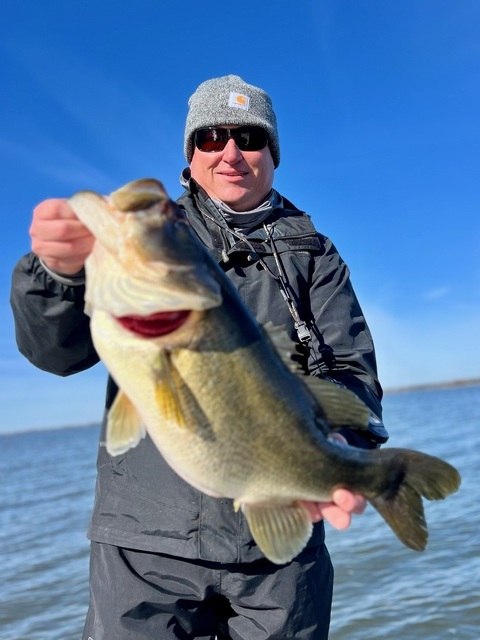 Bass Fishing in Lake Seminole