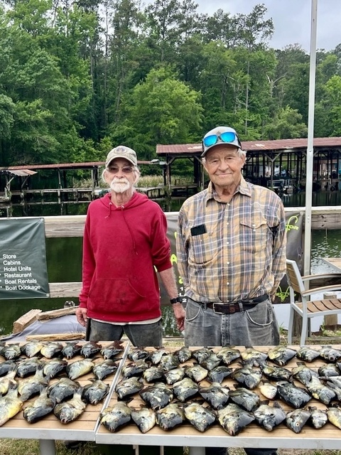 Lake Seminole Fishing