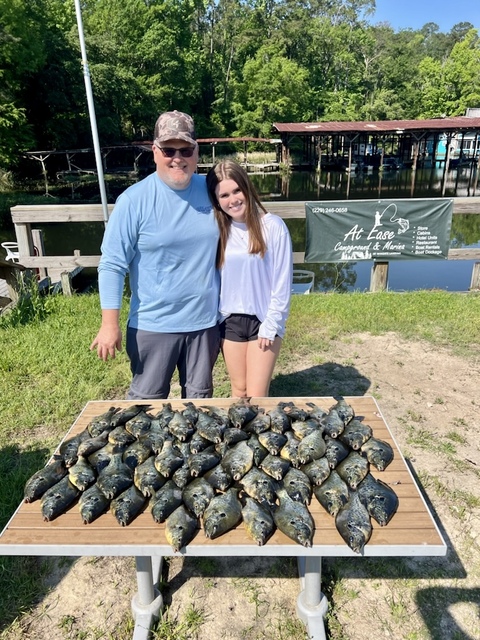 Tips for Successful Shellcracker Fishing Tips for Successful Shellcracker Fishing